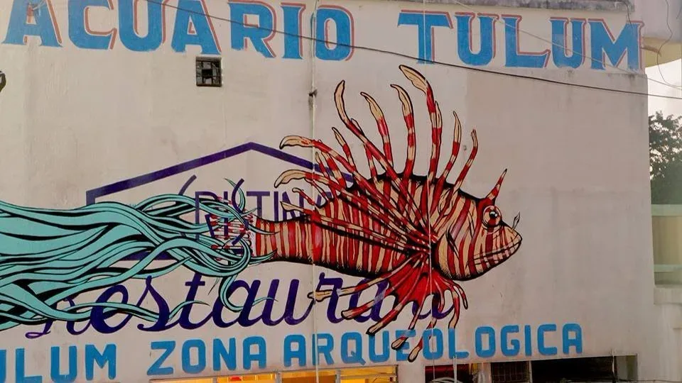 Archival photograph of a mural documented by Tulum Art Club in Tulum.